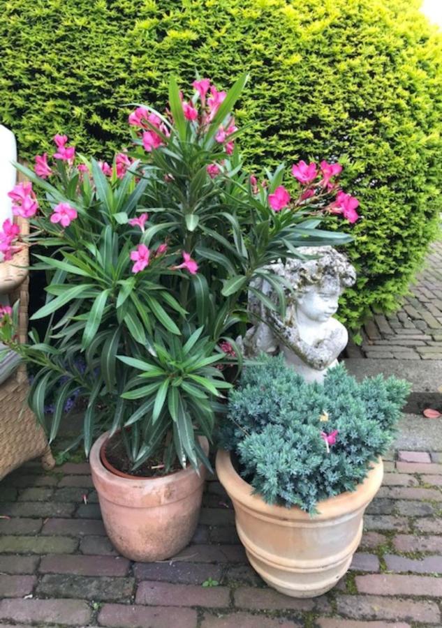 B&B Ereprijs Haag Eksteriør bilde